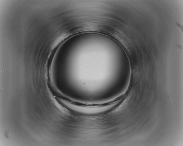 X0000098201034200804241248