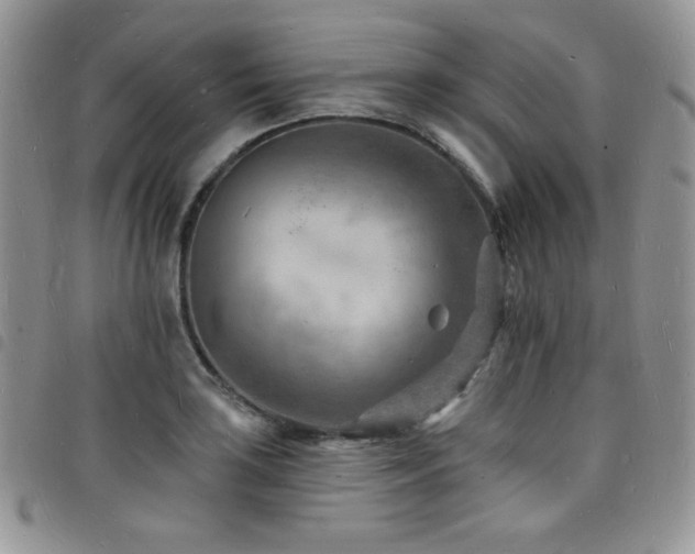 X0000098201035200804241248