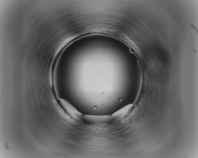 X0000098201036200804241248