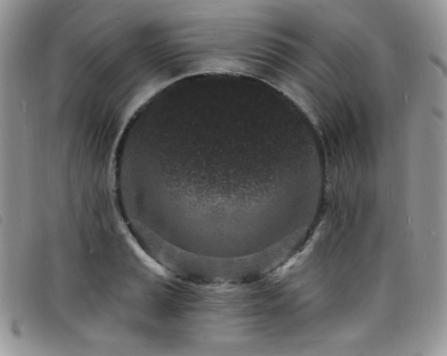 X0000098201037200804241248