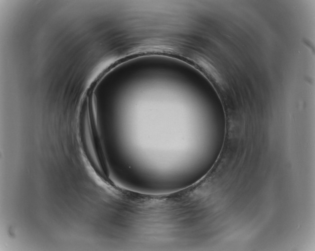 X0000098201038200804241248
