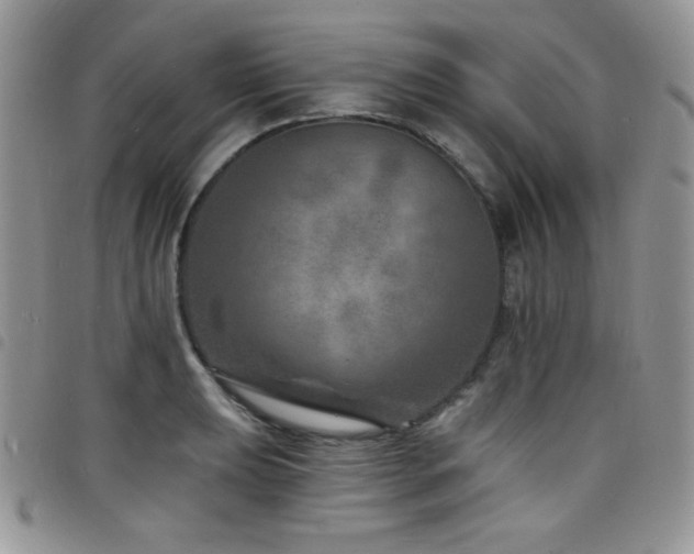 X0000098201039200804241248