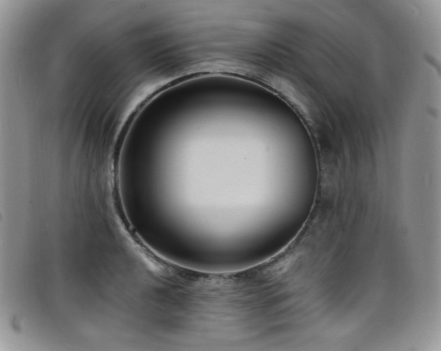 X0000098201040200804241248