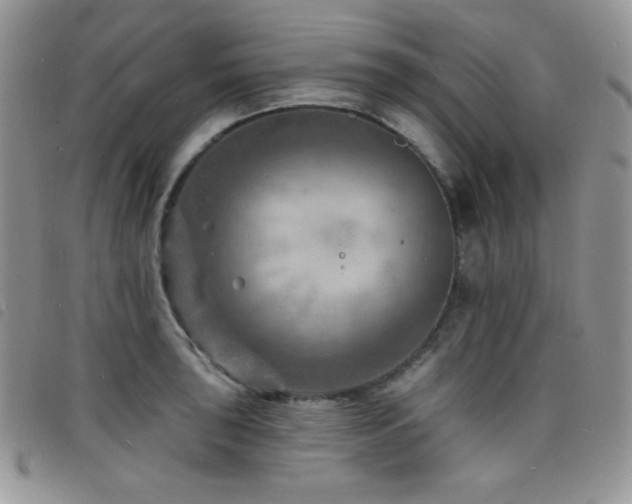 X0000098201043200804241248