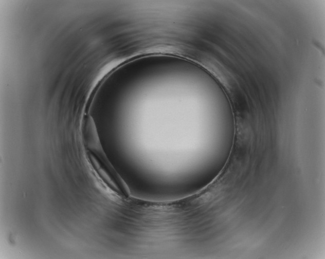 X0000098201044200804241248