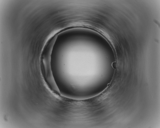 X0000098201045200804241248