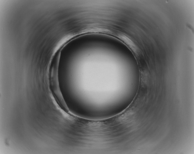 X0000098201046200804241248