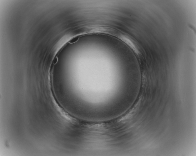 X0000098201047200804241248