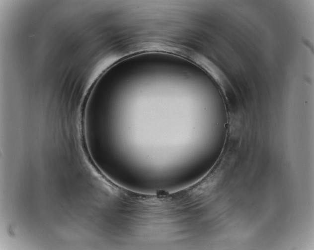 X0000098201048200804241248