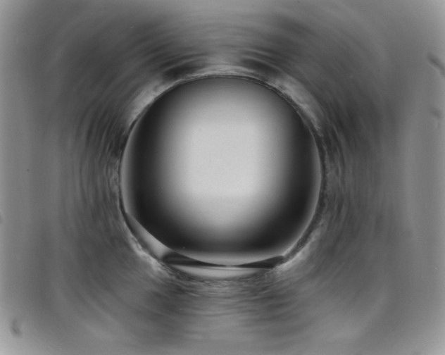 X0000098201049200804241248