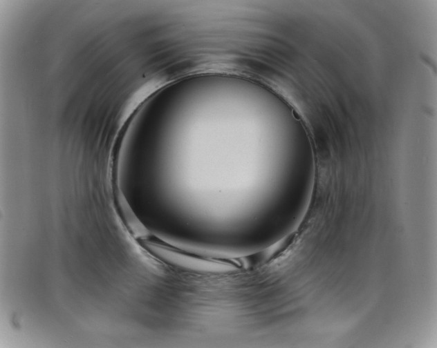 X0000098201050200804241248