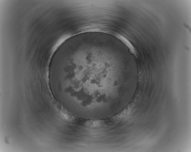 X0000098201051200804241248