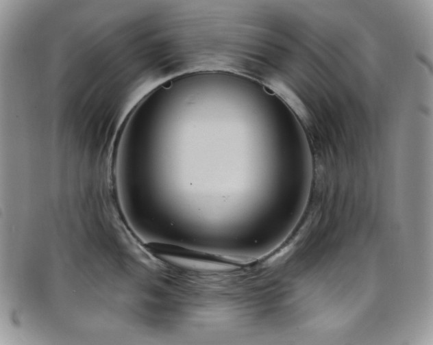 X0000098201052200804241248