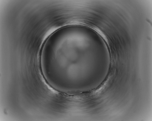 X0000098201053200804241248