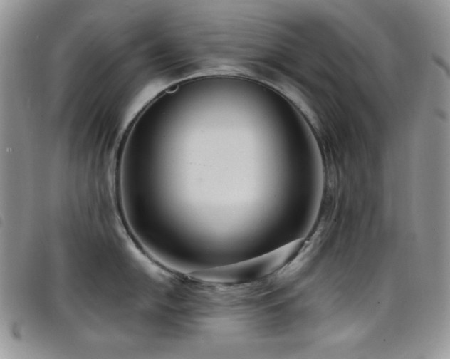 X0000098201054200804241248