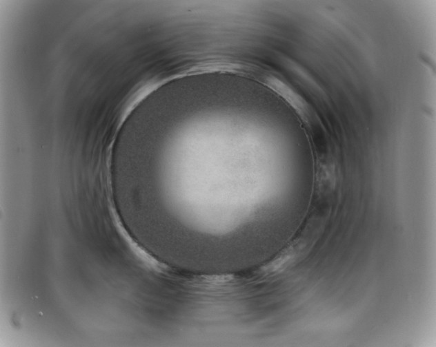 X0000098201055200804241248