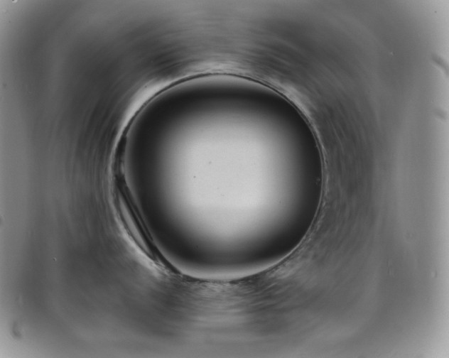 X0000098201056200804241248