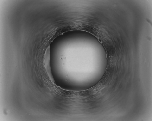 X0000098201057200804241247