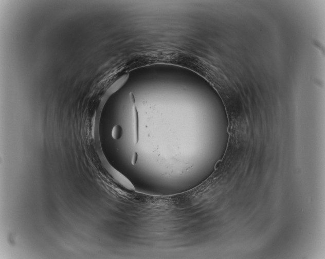 X0000098201058200804241247