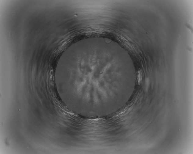X0000098201059200804241247