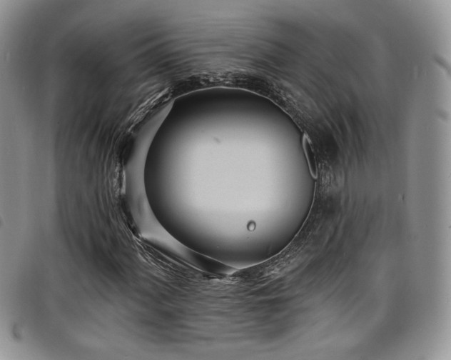 X0000098201060200804241247