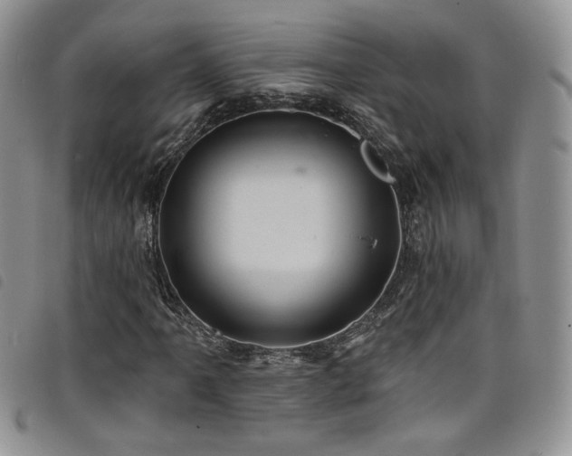 X0000098201061200804241247