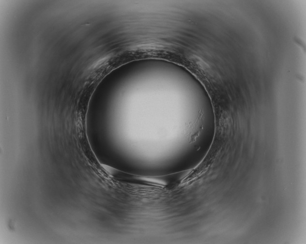 X0000098201062200804241247