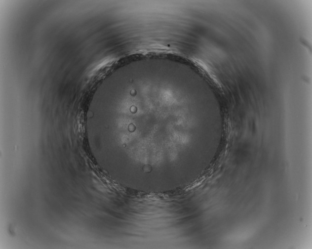 X0000098201063200804241247