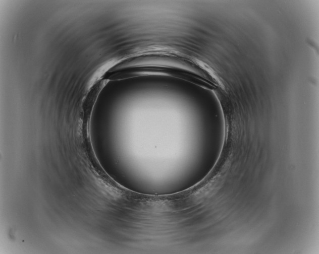 X0000098201066200804241247