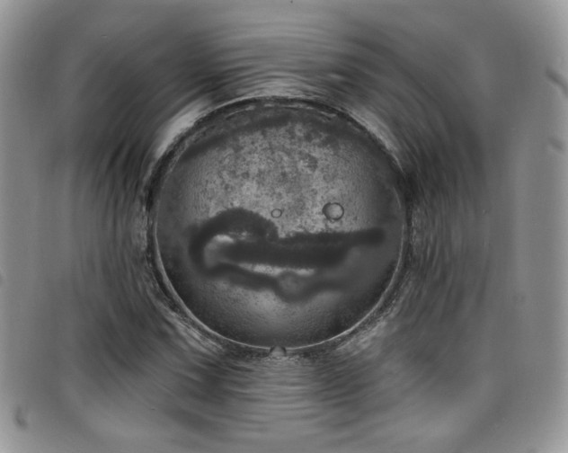 X0000098201067200804241247