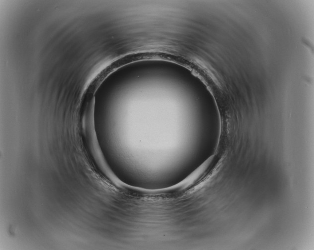X0000098201069200804241247