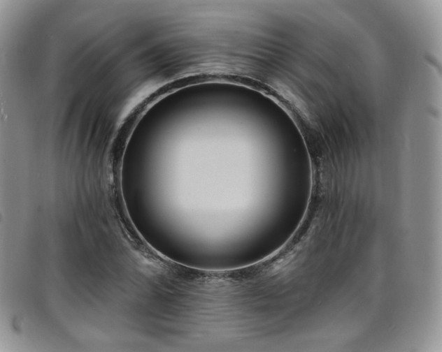 X0000098201070200804241247