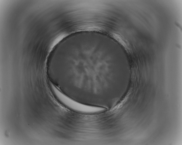 X0000098201071200804241247