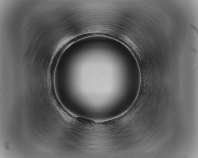 X0000098201072200804241247
