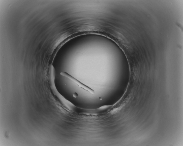 X0000098201073200804241247
