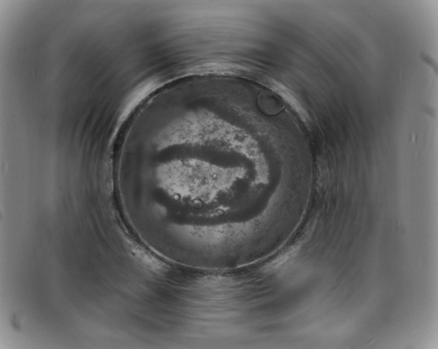 X0000098201075200804241247