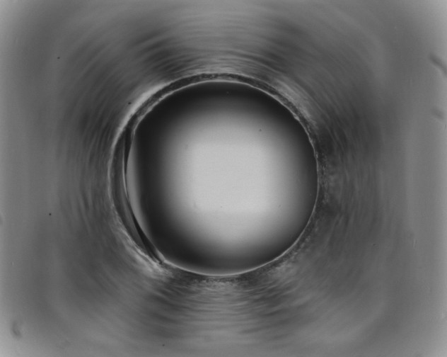 X0000098201076200804241247