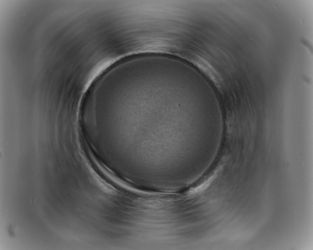 X0000098201077200804241247