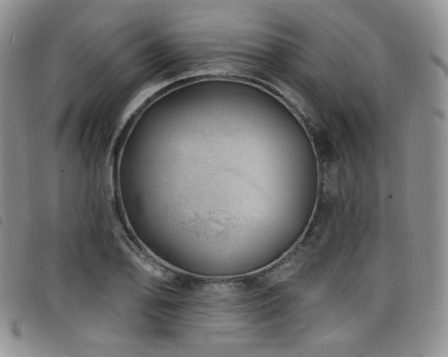 X0000098201078200804241247