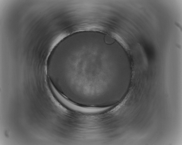 X0000098201079200804241247