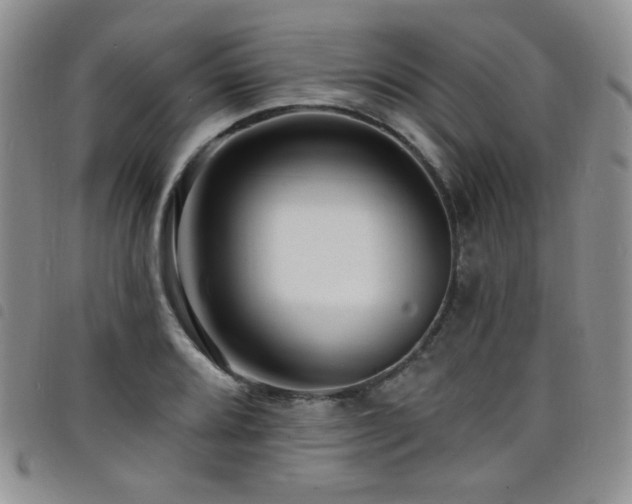 X0000098201080200804241247