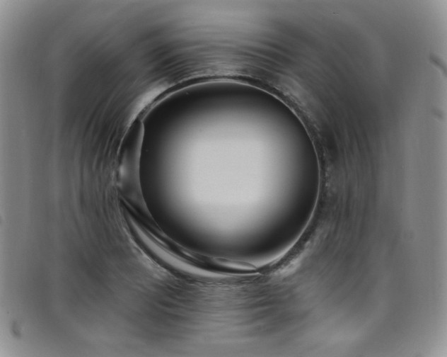 X0000098201081200804241247