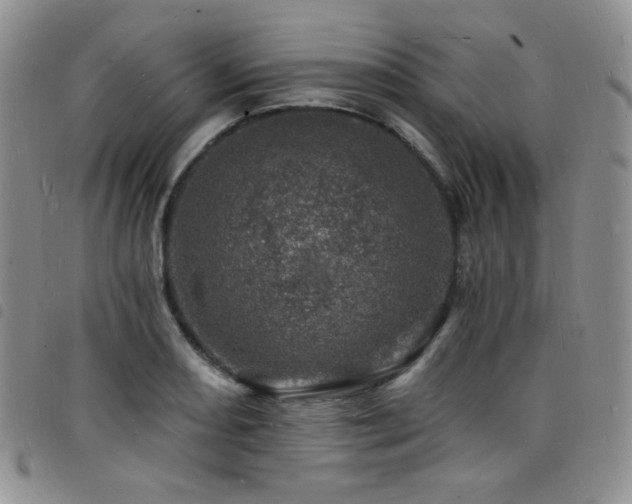 X0000098201082200804241247