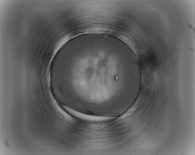X0000098201083200804241247