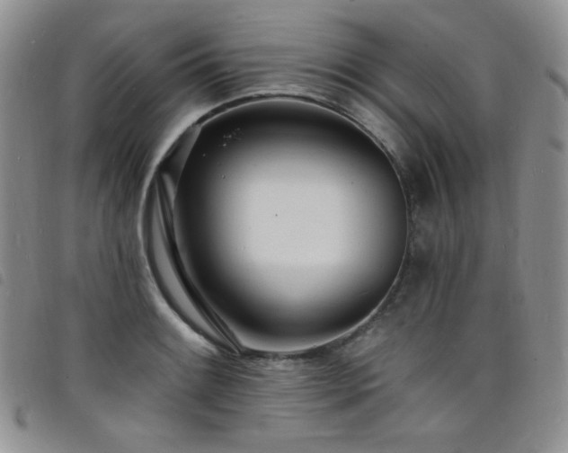 X0000098201084200804241247