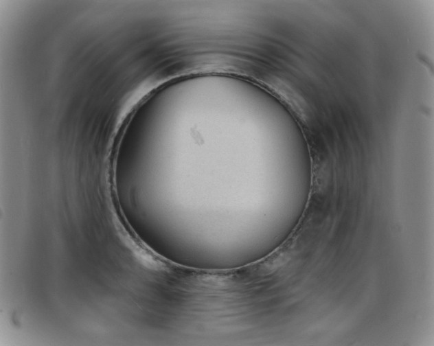 X0000098201086200804241247
