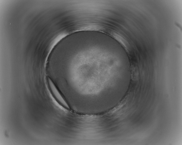 X0000098201087200804241247