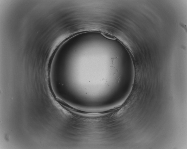 X0000098201088200804241247