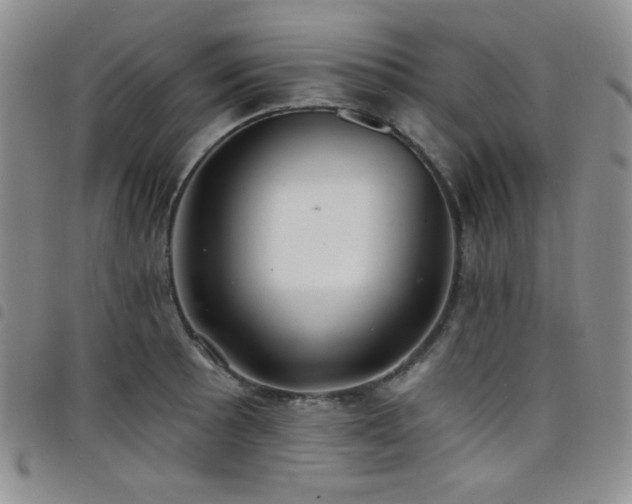 X0000098201089200804241247