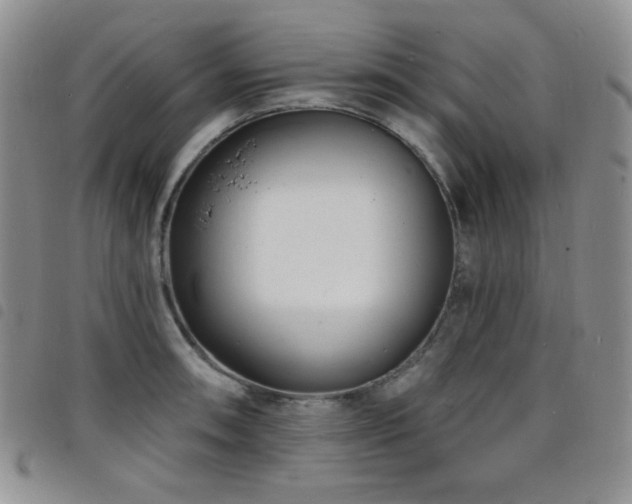 X0000098201090200804241247